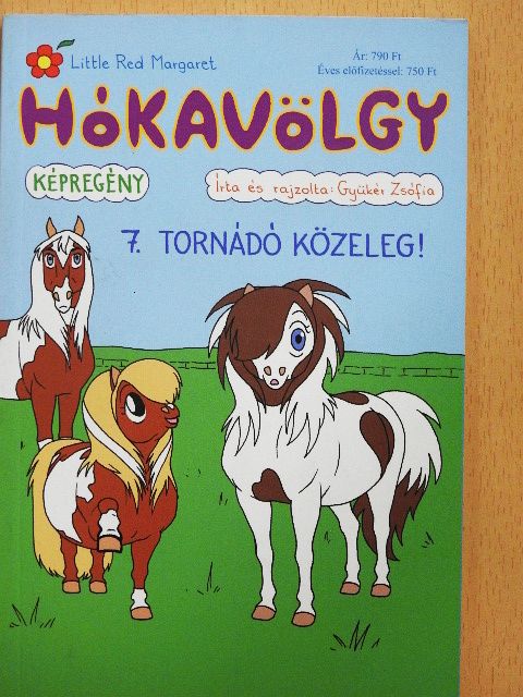 Gyükér Zsófia - Hókavölgy 7. - Tornádó közeleg! [antikvár]