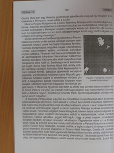 Földvári Rudolf - Új Tanú 2009/4. [antikvár]