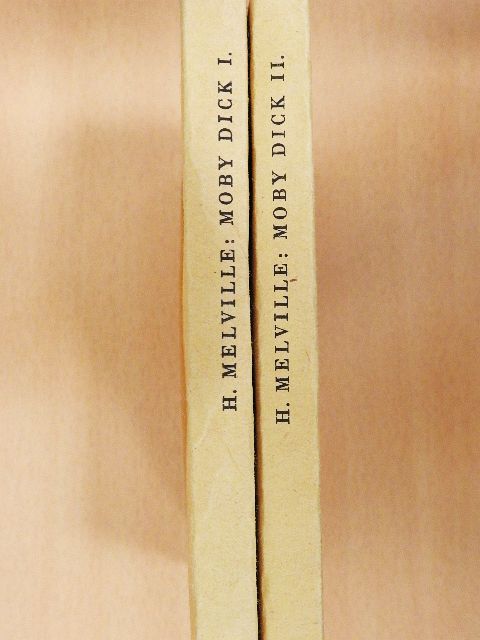 Herman Melville - Moby Dick, a fehér bálna I-II. [antikvár]
