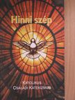 Winfried Henze - Hinni szép [antikvár]