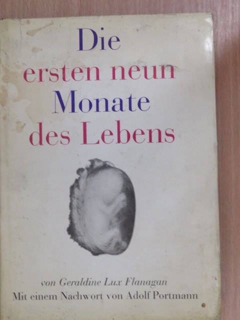 Geraldine Lux Flanagan - Die ersten neun Monate des Lebens [antikvár]