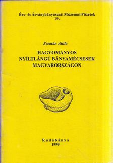 Szemán Attila - Hagyományos nyíltlángú bányamécsesek Magyarországon [antikvár]