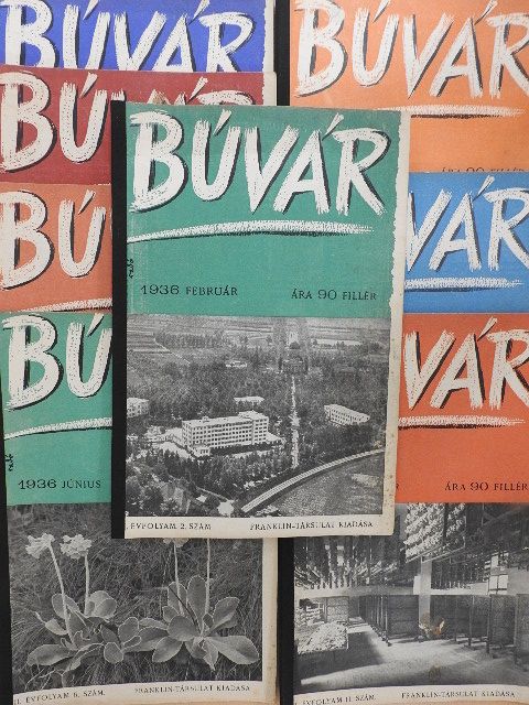 Dorning Henrik - Búvár 1936. (nem teljes évfolyam) [antikvár]