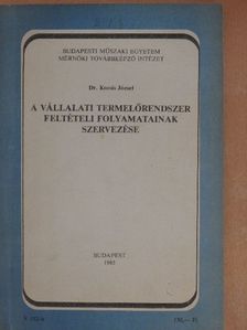 Dr. Kocsis József - A vállalati termelőrendszer feltételi folyamatainak szervezése  [antikvár]