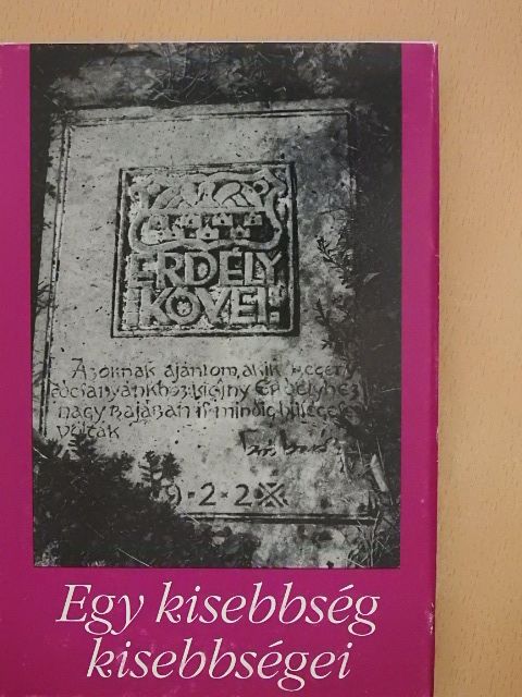 Egy kisebbség kisebbségei [antikvár]