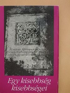 Egy kisebbség kisebbségei [antikvár]