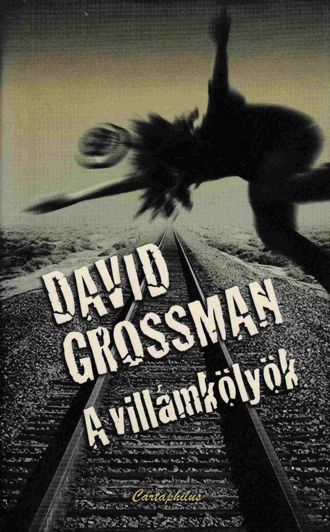David Grossman - A villámkölyök [antikvár]