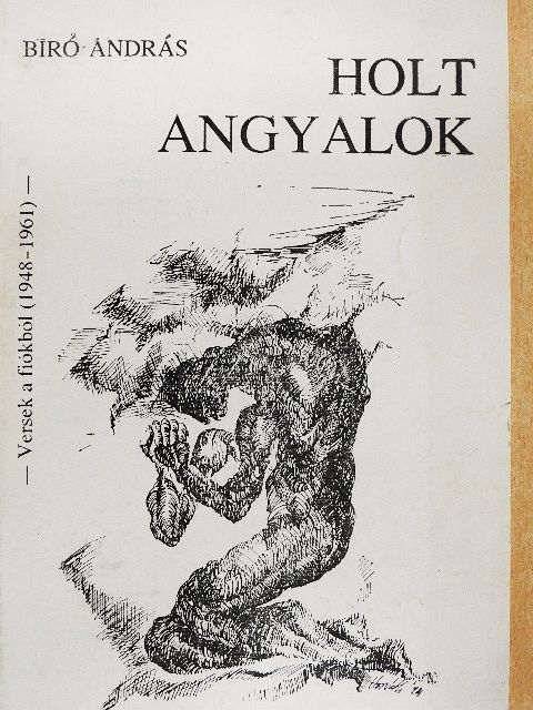 Bíró András - Holt angyalok [antikvár]