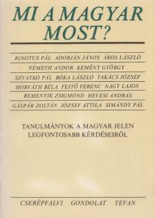 Palkó István - Mi a magyar most? [antikvár]