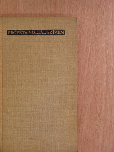 Somogyi Tóth Sándor - Próféta voltál szívem [antikvár]