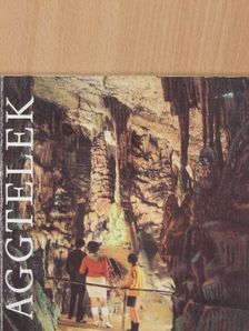 Dr. Hubert Kessler - Aggtelek [antikvár]