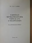 Dr. Gayer Gyuláné - Tartósan munkanélküliek vizsgálata 6 településen [antikvár]