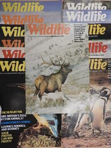 Wildlife January-December 1978.  [antikvár]