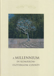 Csombor Erzsébet, Horváth István - A Millennium in Komárom-Esztergom County [antikvár]