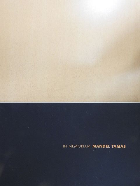 Mandel Róbert - In memoriam Mandel Tamás [antikvár]