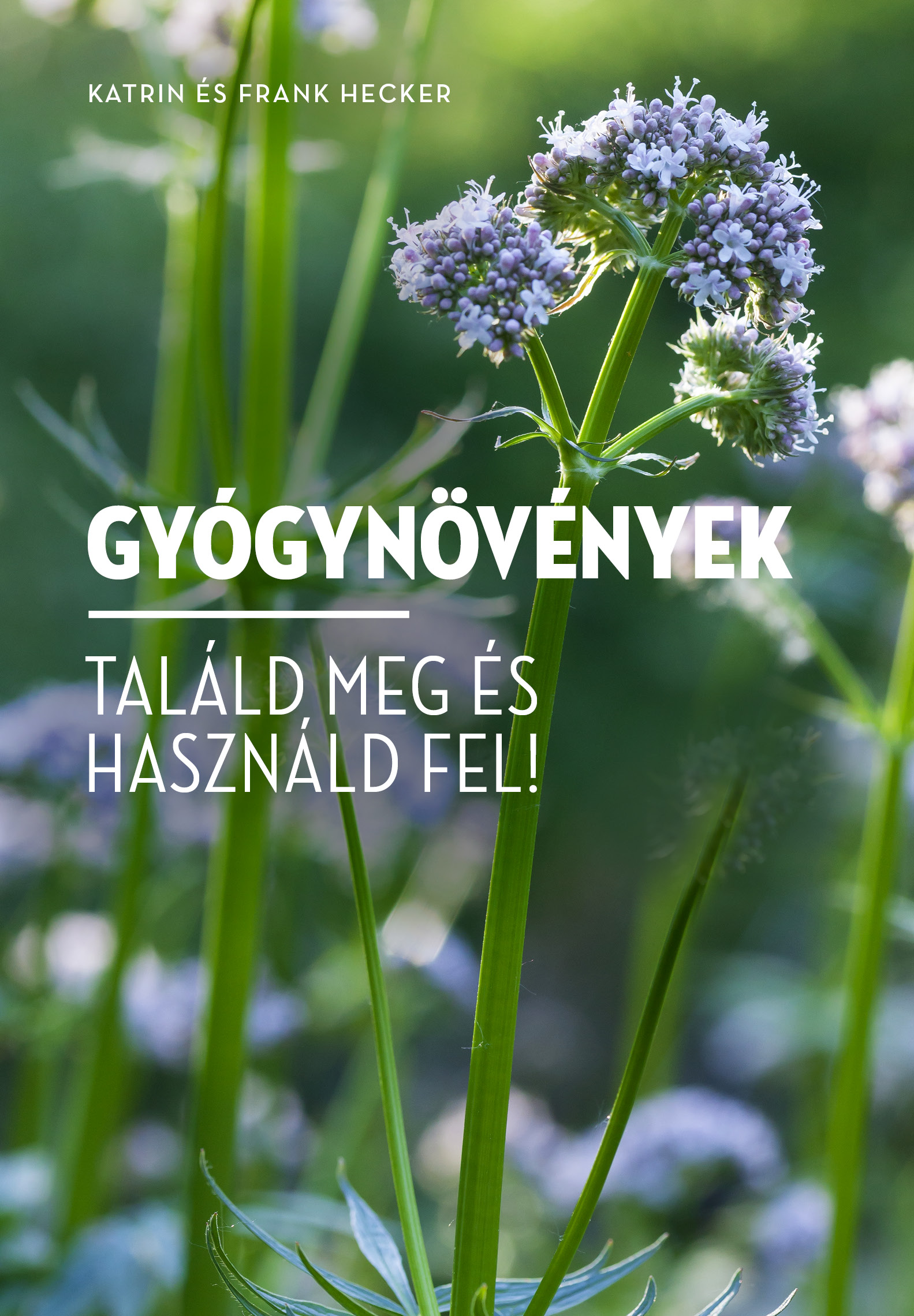 Frank és Katrin Hecker - Gyógynövények Találd meg és használd fel!