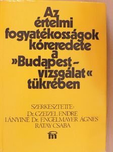 Kismartoni Bea - Az értelmi fogyatékosságok kóreredete a »Budapest-vizsgálat« tükrében [antikvár]