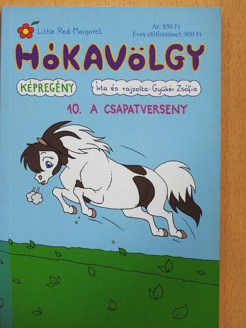 Gyükér Zsófia - Hókavölgy 10. - A csapatverseny [antikvár]