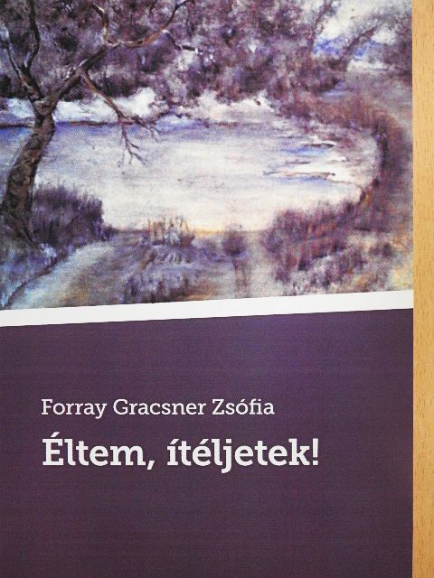 Forray Gracsner Zsófia - Éltem, ítéljetek! [antikvár]