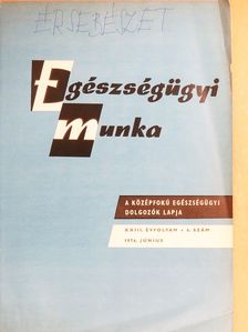 Bíró Mária - Egészségügyi munka 1976. június [antikvár]