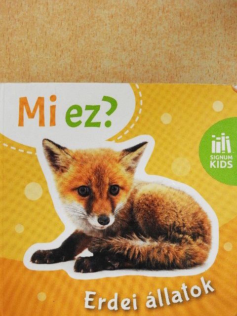 Mi ez? - Erdei állatok [antikvár]