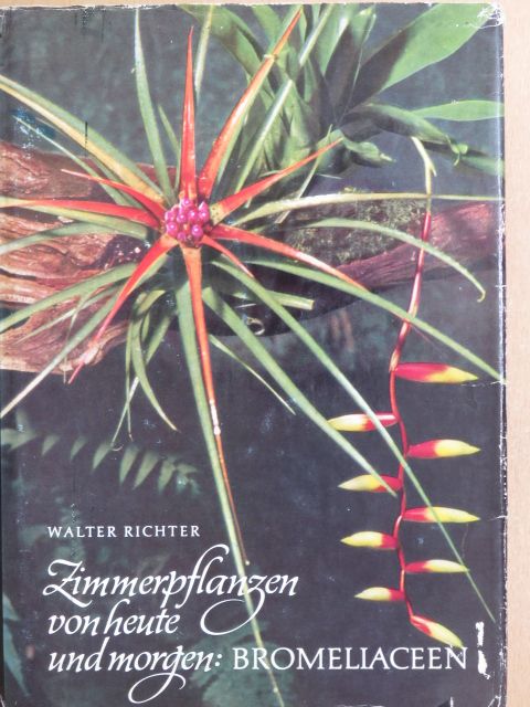 Walter Richter - Zimmerpflanzen von heute und morgen: Bromeliaceen [antikvár]