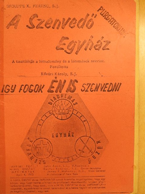 Shouppe X. Ferenc S. J. - A szenvedő egyház [antikvár]