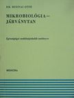 Dr. Rudnai Ottó - Mikrobiológia-Járványtan [antikvár]