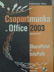 Schönhofen Péter - Csoportmunka az Office 2003 rendszerrel [antikvár]