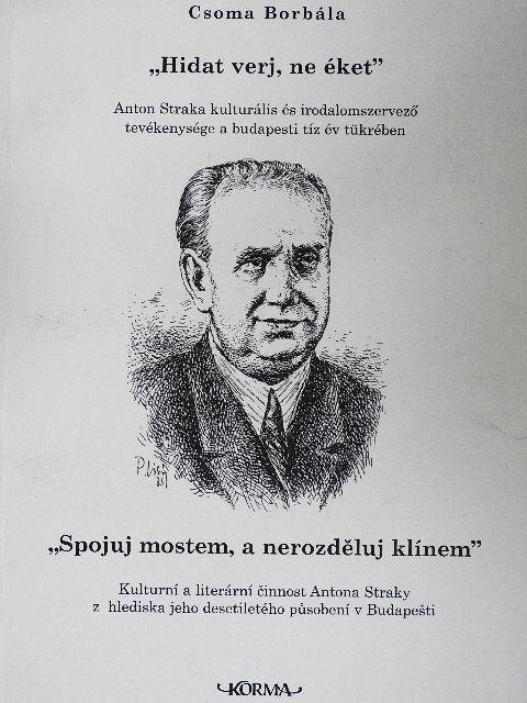 Csoma Borbála - "Hidat verj, ne éket" [antikvár]