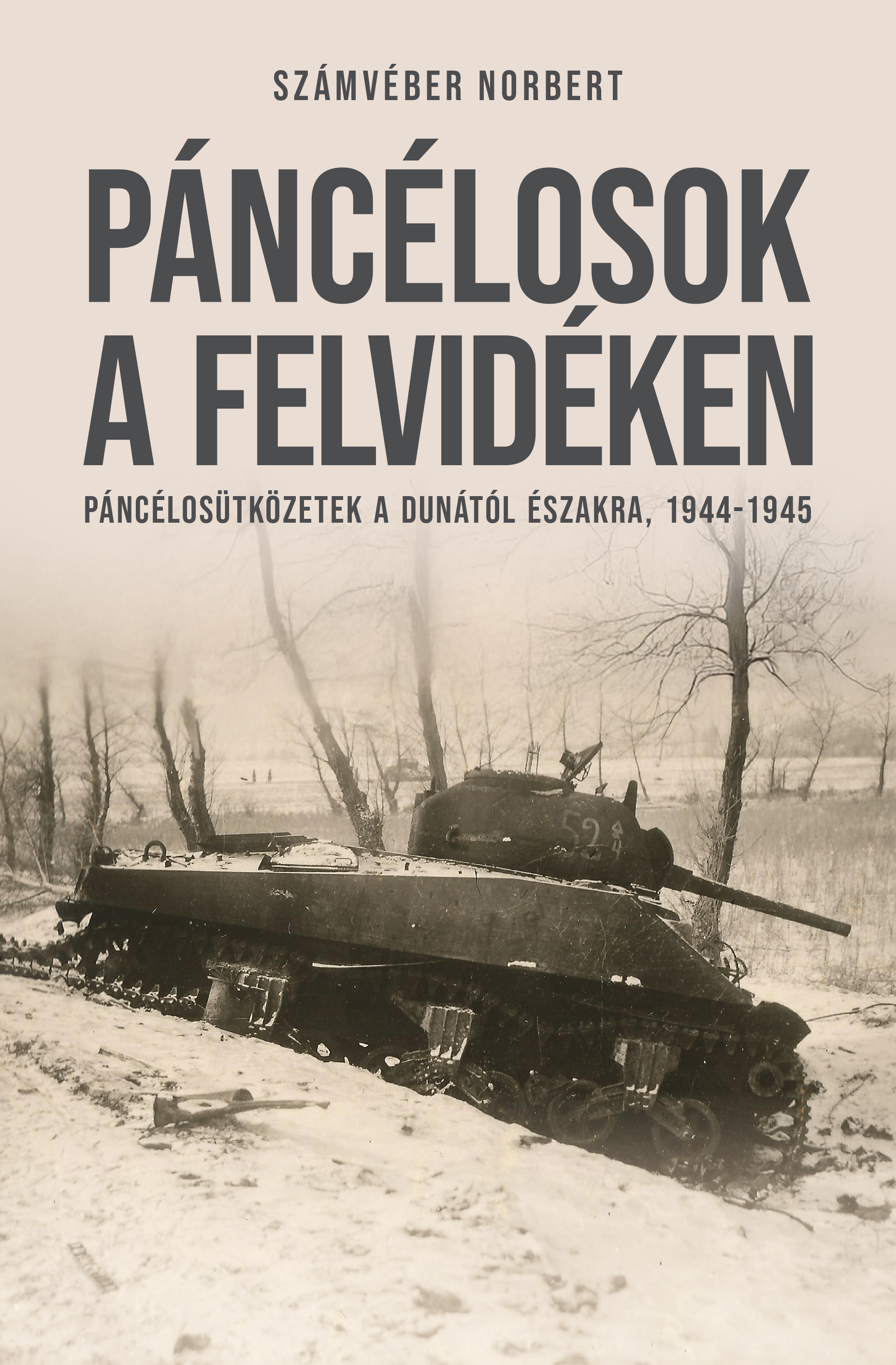 Számvéber Norbert - Páncélosok a Felvidéken