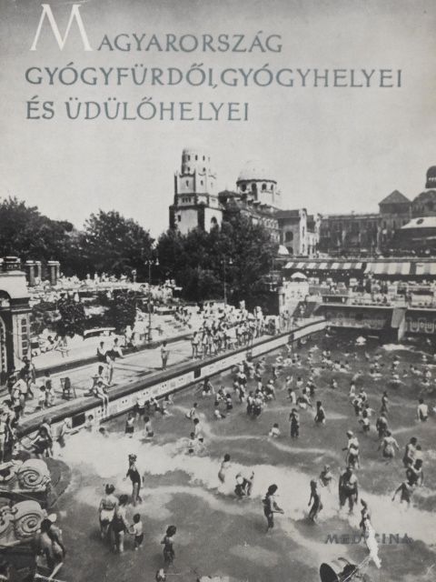 Dr. Chátel Andor - Magyarország gyógyfürdői, gyógyhelyei és üdülőhelyei [antikvár]