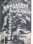 Dr. Gebhardt Antal - Az Abaligeti barlang [antikvár]