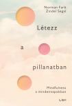 Farb Norman - Létezz a pillanatban [eKönyv: epub, mobi]
