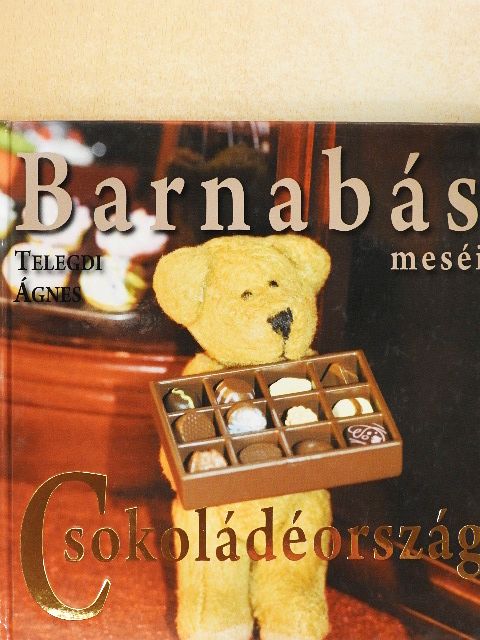Telegdi Ágnes - Barnabás meséi - Csokoládéország [antikvár]