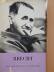 Bertolt Brecht - Brecht [antikvár]