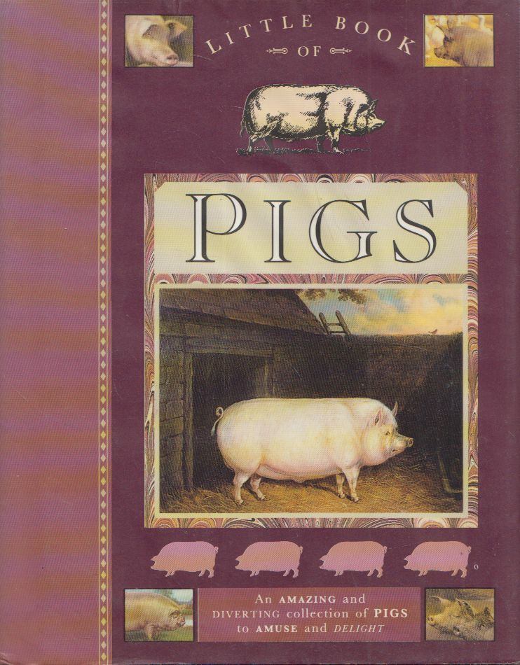 Little Book of Pigs [antikvár]