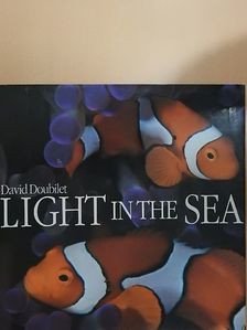 Light in the Sea [antikvár]
