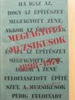 Nagy Sándor - Megfagyott muzsikusok [antikvár]