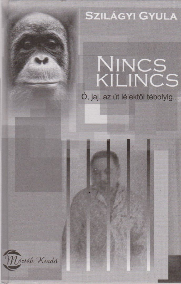 Szilágyi Gyula - Nincs kilincs [antikvár]