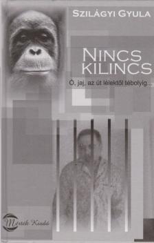 Szilágyi Gyula - Nincs kilincs [antikvár]
