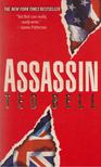 Ted Bell - Assassin [antikvár]