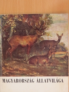 Mihályi Ferenc - Vezető a Természettudományi Múzeum Magyarország Állatvilága kiállításához [antikvár]