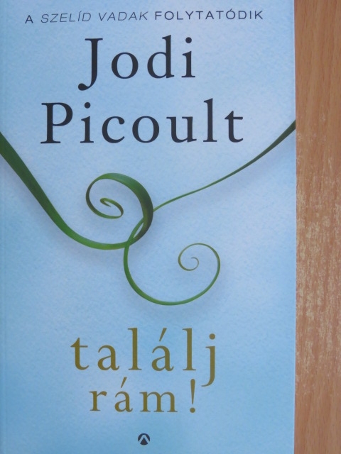 Jodi Picoult - Találj rám! [antikvár]