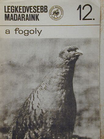 Dr. Faragó Sándor - A fogoly [antikvár]