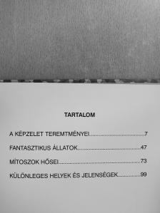 Émilie Beumont - A képzelet képeskönyve [antikvár]