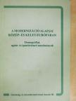Ring Éva - A modernizáció alapjai Közép- és Kelet-Európában [antikvár]