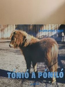 Gyurkovics Tibor - Tónió a póniló [antikvár]