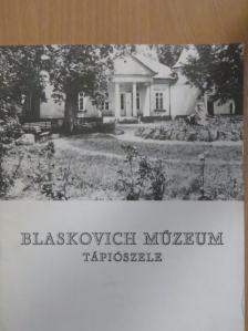 Dinnyés István - Blaskovich Múzeum Tápiószele [antikvár]