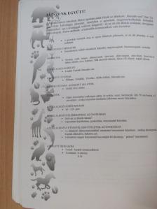Óvodások az állatkertben [antikvár]